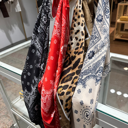 Franck, le foulard